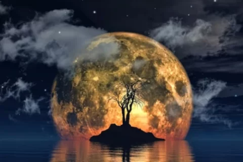 Aplicativos para ver a Lua agora ( Imagem: Freepik)